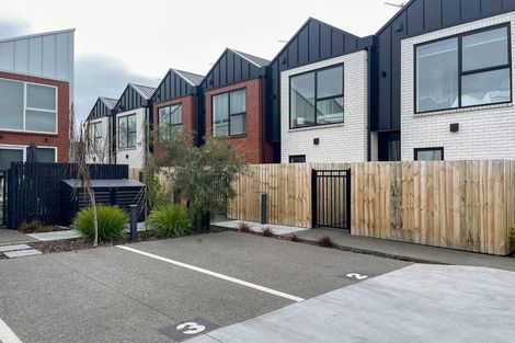 Photo of property in 3/80 Milton Street, Somerfield, Christchurch, 8024