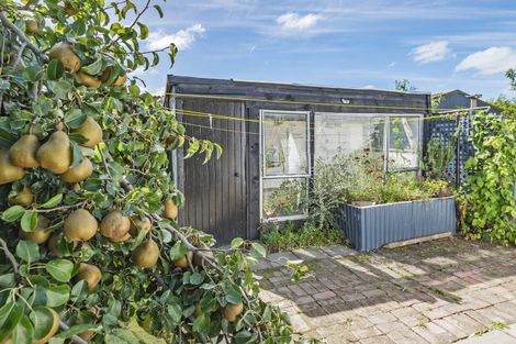 Photo of property in 20 Ocean View Place, Southbridge, Leeston, 7683