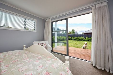 Photo of property in 24 Grigg Drive, Witherlea, Blenheim, 7201