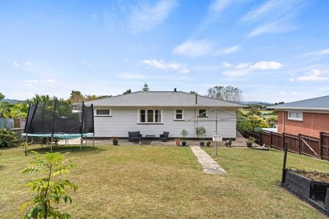 Photo of property in 100 Parore Street, Dargaville, 0310