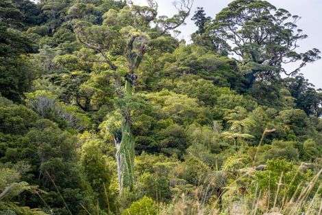 Photo of property in 29 Waiwhero Road, Barrytown, Runanga, 7873