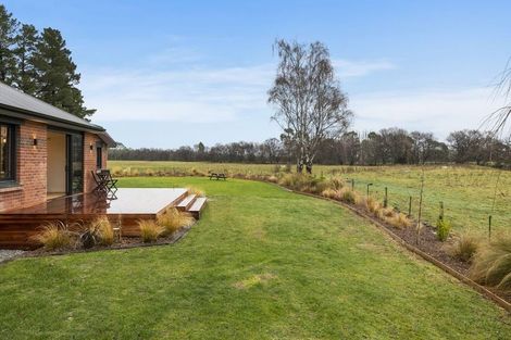 Photo of property in 103 Henry Street, Waikouaiti, 9510