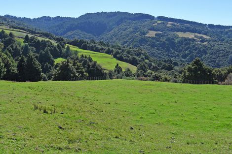 Photo of property in 128 Schollum Road, Big Omaha, Warkworth, 0985