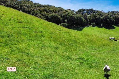 Photo of property in 92 Withy Road, Manawahe, Whakatane, 3193