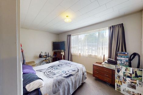 Photo of property in 3 Pattons Road, Mount Somers, Ashburton, 7771