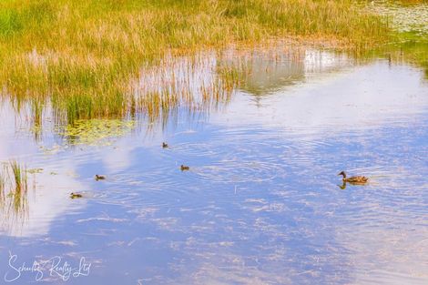 Photo of property in 1713 State Highway 12, Paparoa, 0571