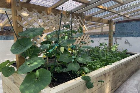 Photo of property in 16 Edmund Street, Saint Heliers, Auckland, 1071