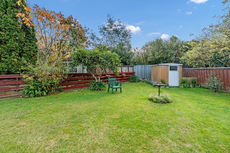 Photo of property in 9a Dalzien Place, Feilding, 4702