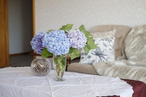 Photo of property in 25a Michie Street, Belleknowes, Dunedin, 9011