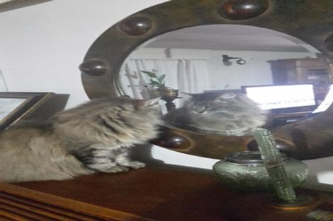 Photo of property in 184 Parapara Rd (state Highway 4), Raetihi, Whanganui, 4573