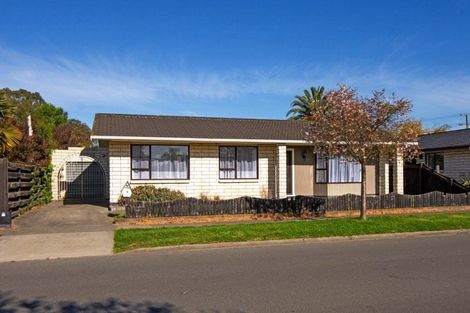 Photo of property in 2 Hillcrest Avenue, Witherlea, Blenheim, 7201