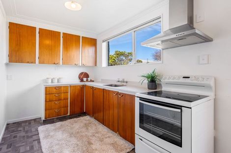 Photo of property in 53a Helena Street, Forbury, Dunedin, 9012