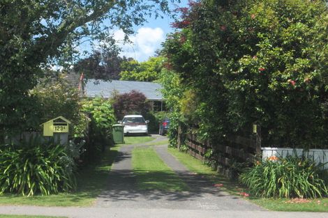 Photo of property in 123a Taylor Street, Cambridge, 3434