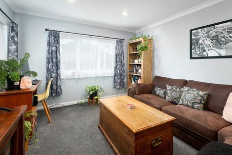 Photo of property in 91 Parry Palm Avenue, Waihi, 3610