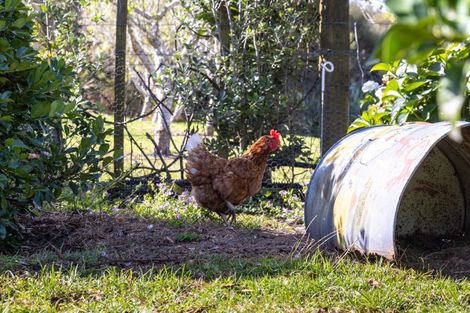 Photo of property in 136a Monarch-downs Way, Warkworth, 0982