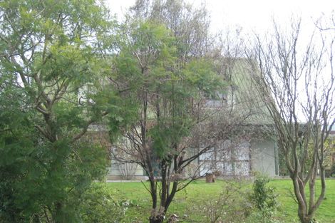 Photo of property in 44 Hazelwood Avenue, Dinsdale, Hamilton, 3204