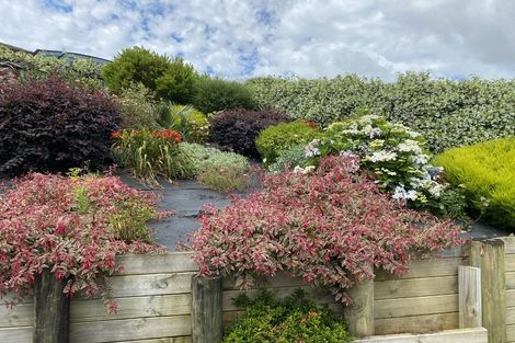 Photo of property in 46 Bush Haven Drive, Te Kamo, Whangarei, 0112