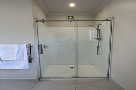 Photo of property in 161 Rimu Street, Maeroa, Hamilton, 3200