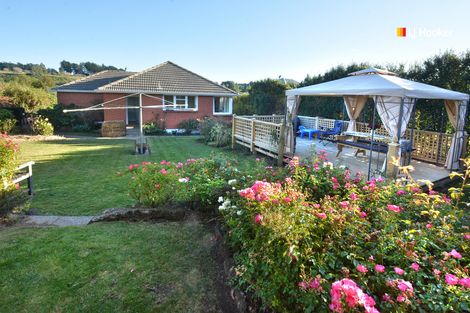 Photo of property in 113 Caldwell Street, Brockville, Dunedin, 9011