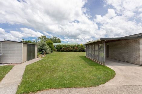 Photo of property in 129 Guy Street, Dannevirke, 4930