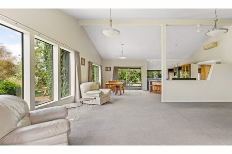 Photo of property in 48 Pond Road, Raglan, 3295