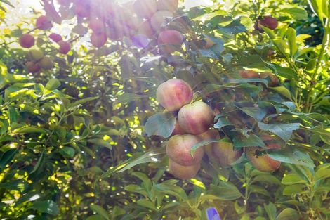 Photo of property in 169b Te Moana Road, Waikanae, 5036