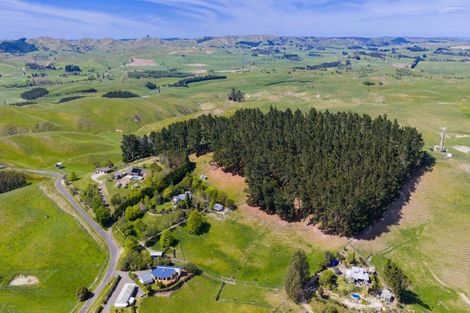 Photo of property in 128 Mangatarata Road, Waipukurau, 4285