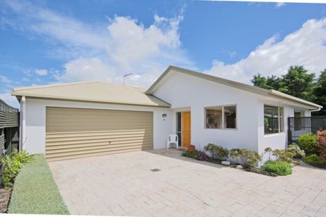 Photo of property in 36 Cashmere Grove, Witherlea, Blenheim, 7201