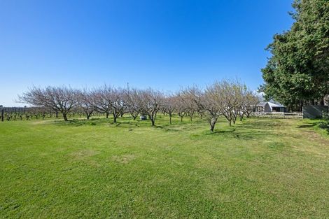 Photo of property in 16 Newman Road, Rapaura, Blenheim, 7273