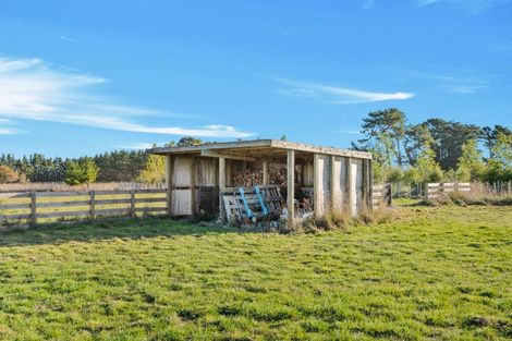 Photo of property in 90 Settlement Road, Morison Bush, Greytown, 5794