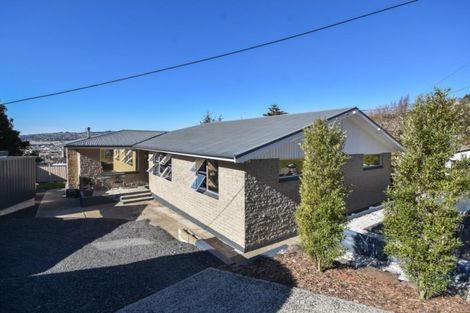 Photo of property in 56 College Street, Caversham, Dunedin, 9012