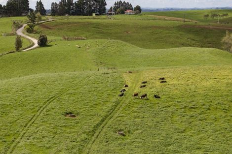 Photo of property in 697 Maungatawhiri Road, Raglan, 3295