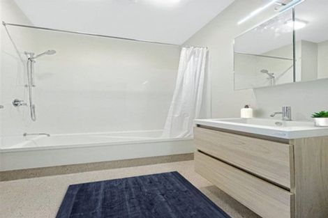 Photo of property in Aniva Terrace, 18 Ferguson Street, Newtown, Wellington, 6021