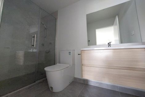 Photo of property in 48 Ti Kouka Lane, Sandringham, Auckland, 1025