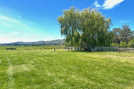 Photo of property in 64 Parnassus Road, Ferniehurst, Cheviot, 7384