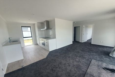 Photo of property in 97 Hinemoa Street, Levin, 5510