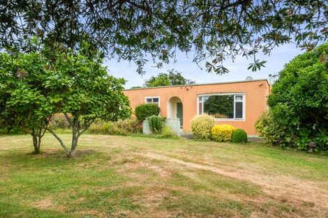 Photo of property in 22 Mckenzie Street, Levin, 5510