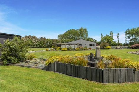 Photo of property in 131 Peach Road, Gordonton, Taupiri, 3791