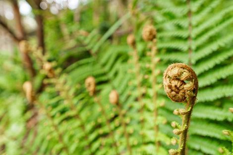 Photo of property in 544 Highgate, Maori Hill, Dunedin, 9010