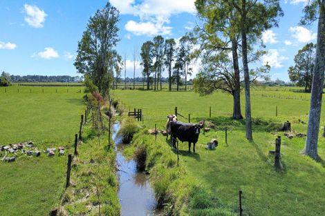 Photo of property in 97f Poplar Lane, Edgecumbe, Whakatane, 3192