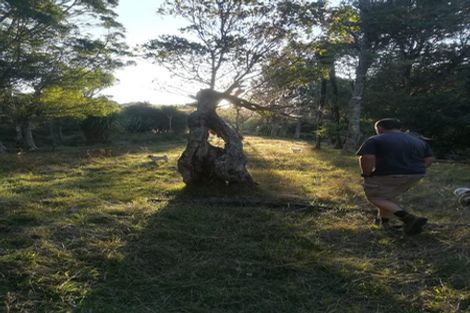 Photo of property in 350 Te Tahi Road, Puketotara, Te Awamutu, 3876