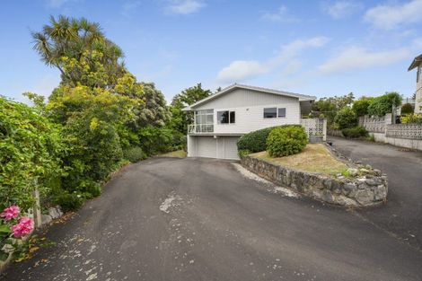 Photo of property in 10 Randall Place, Hospital Hill, Napier, 4110