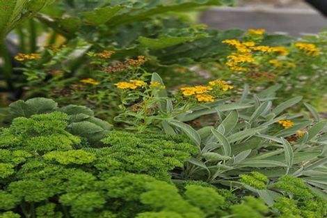 Photo of property in 728 Peak Road, Helensville, 0875