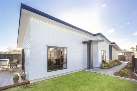 Photo of property in 8a Hereford Street, Roslyn, Dunedin, 9010