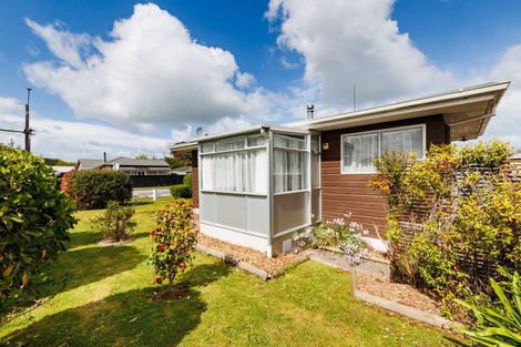 Photo of property in 20 Russell Street, Feilding, 4702