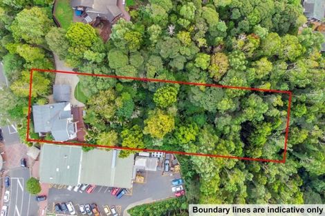 Photo of property in 431 Titirangi Road, Titirangi, Auckland, 0604