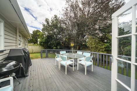 Photo of property in 39 Macarthur Street, Levin, 5510