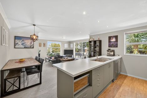 Photo of property in 20 Lindores Street, Addington, Christchurch, 8024