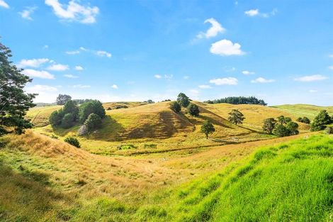 Photo of property in 87 Mititai Road, Waiotira, 0193