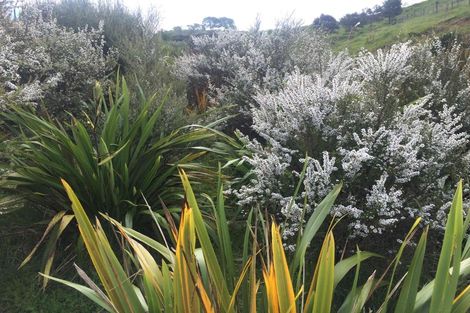 Photo of property in 1111b Te Waitere Road, Taharoa, 3988